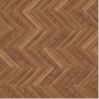 parva broad leaf dark sycamore