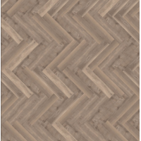 parva broad leaf smoky sycamore 