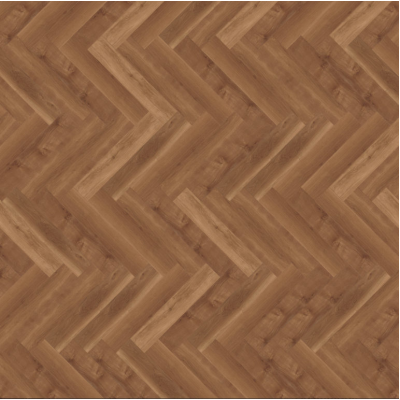 parva broad leaf dark sycamore