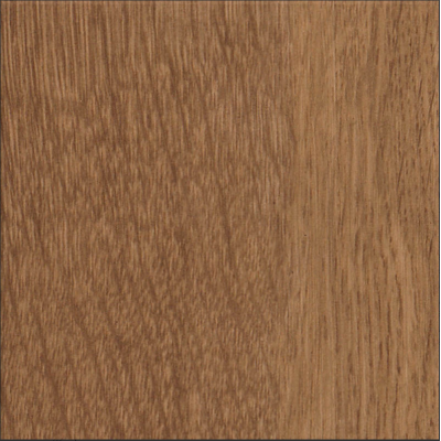 parva broad leaf dark sycamore1