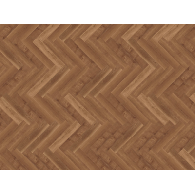 parva broad leaf dark sycamore2