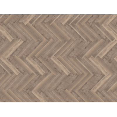 parva broad leaf smoky sycamore3