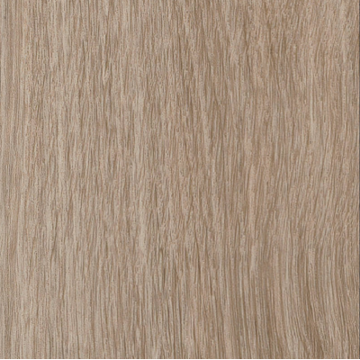 parva river oak douro1