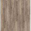 bramber_chestnut_miglio_