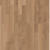 broad_leaf_pure_sycamore__