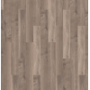 broad_leaf_smoky_sycamore