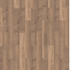 broad_leaf_warm_sycamore_