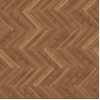 parva_broad_leaf_dark_sycamore