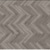 parva_broad_leaf_gray_sycamore