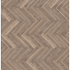parva_broad_leaf_smoky_sycamore_