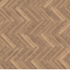 parva_broad_leaf_warm_sycamore